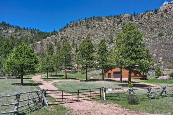 437 Langnis Road, Guffey, CO 80820