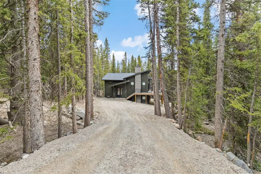 180 Pine Cone Way, Fairplay, CO 80440 - #3