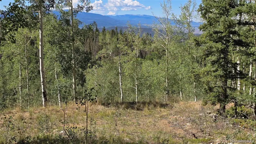 Lot 6174 Forbes Road, San Luis, CO 81152 - #2