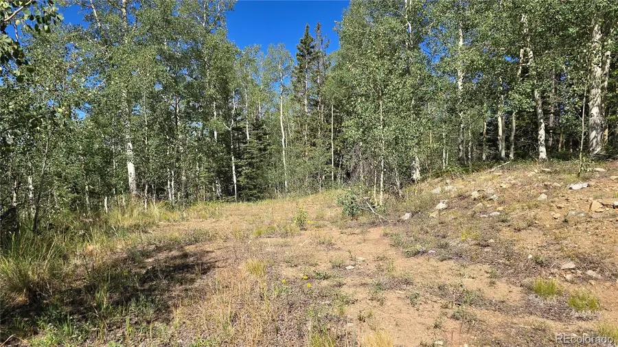 Lot 6174 Forbes Road, San Luis, CO 81152 - #3