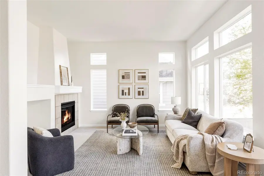 10715 Riverbrook Circle, Highlands Ranch, CO 80126 - #3