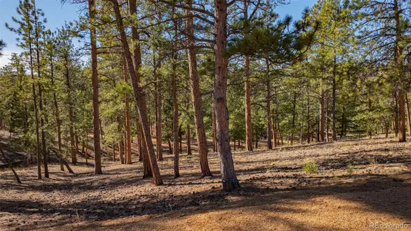 113 Schmittel, Sedalia, CO 80135