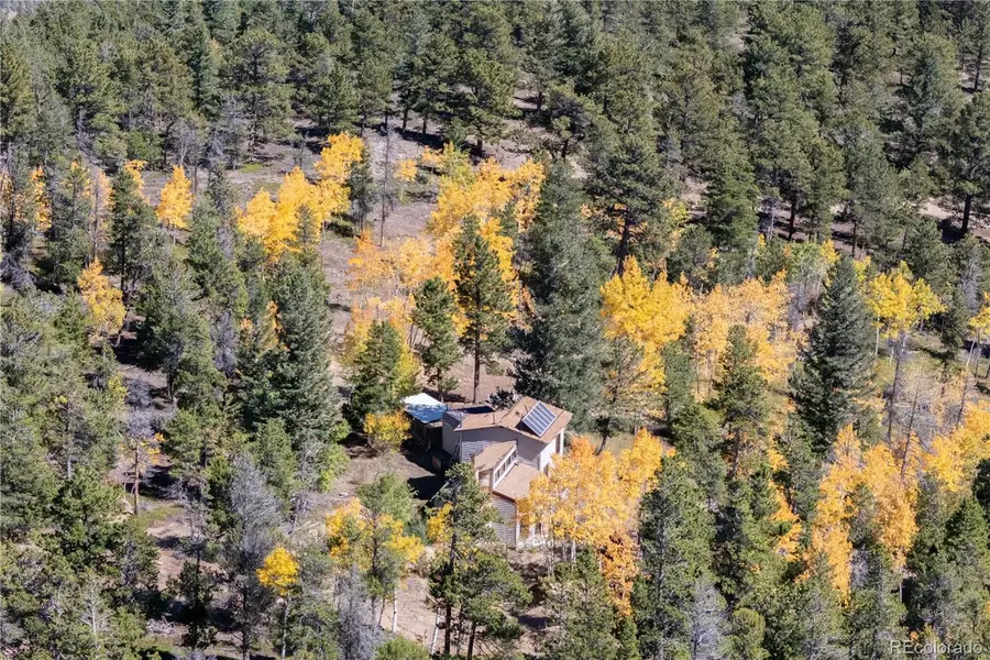 719 Miners Candle Road, Idaho Springs, CO 80452 - Image #3