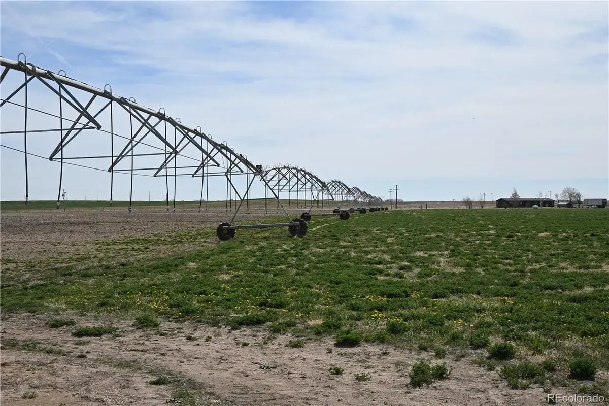 13955 Lanewood Street, Brighton, CO 80603 - #1