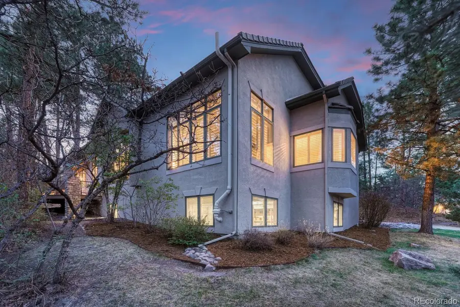 4537 Silver Dale Court, Castle Rock, CO 80108 - #3