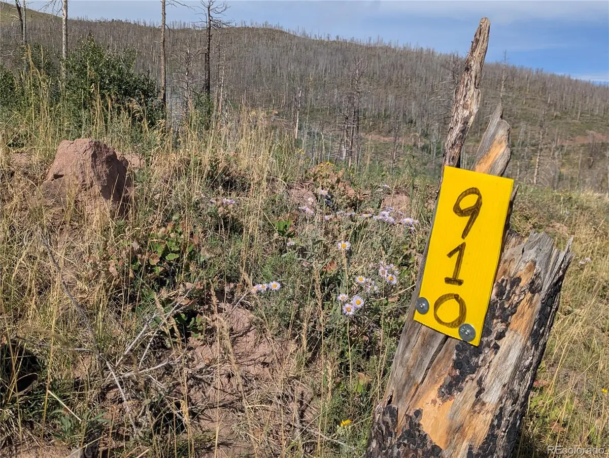 910 Ueda Place, Fort Garland, CO 81133 - Image #1