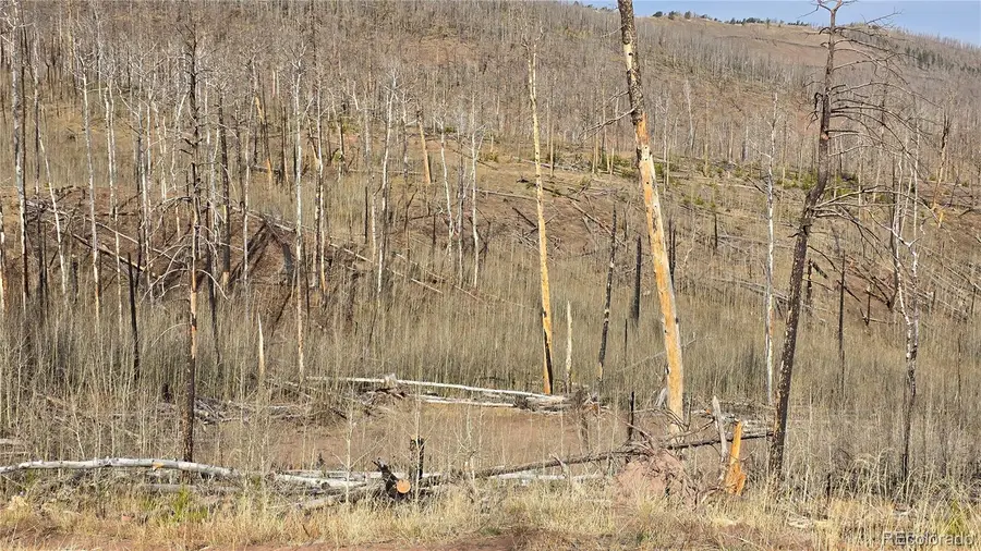 Lot 880 Slaoui Place, Fort Garland, CO 81133 - #3