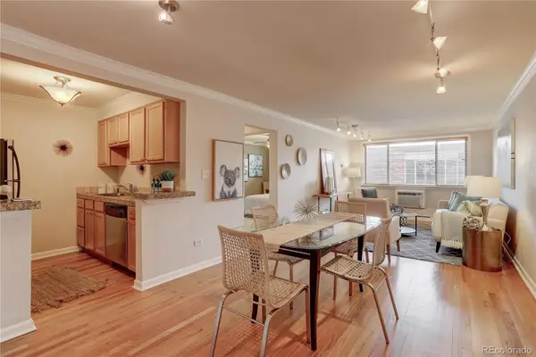 10 N Ogden Street #204, Denver, CO 80218