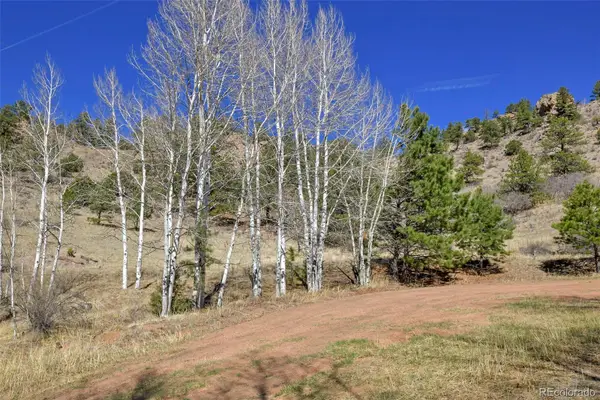 221 Floresta, Florissant, CO 80816