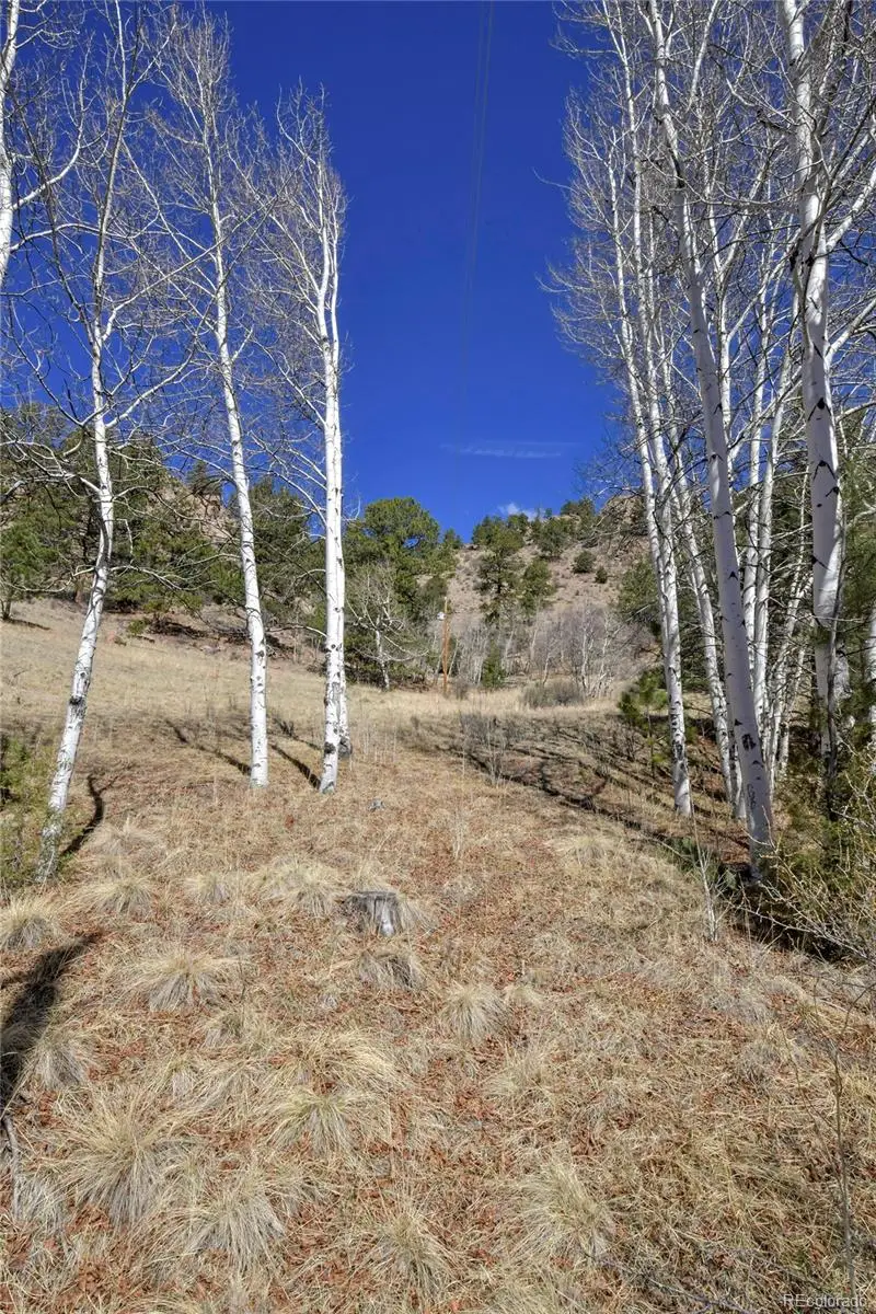 221 Floresta, Florissant, CO 80816 - #3