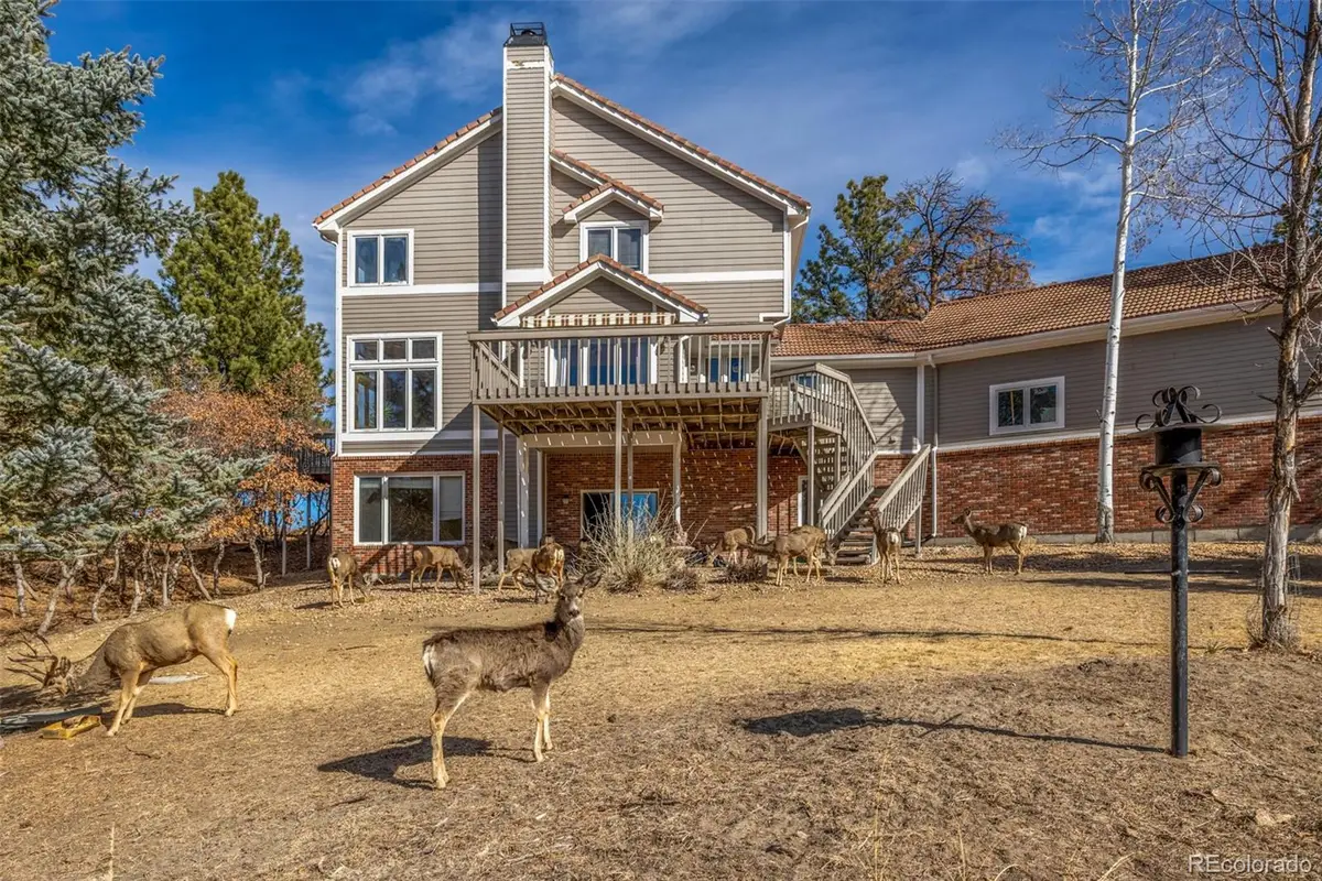 5953 Angie Court, Parker, CO 80134 - #1