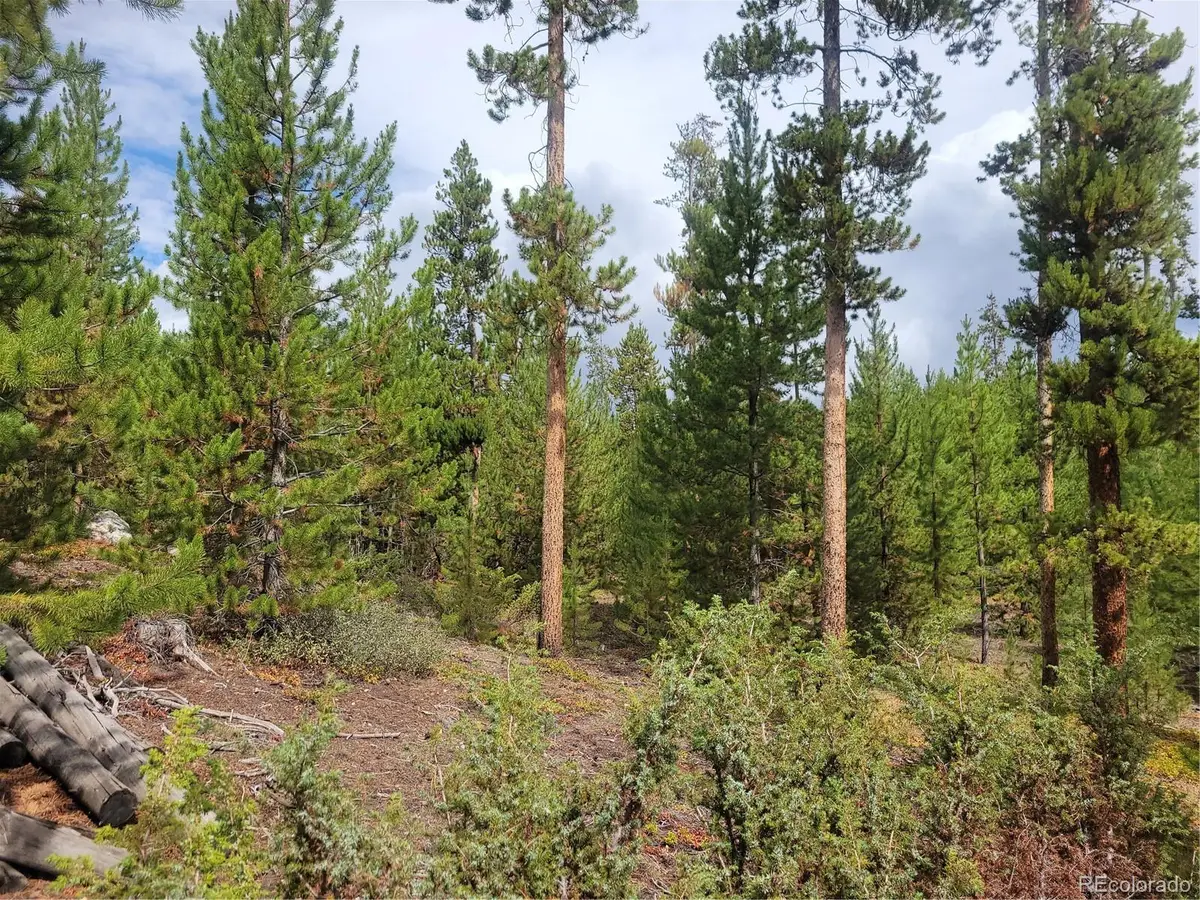 65 Grand County Road 6621, Grand Lake, CO 80447 - #1
