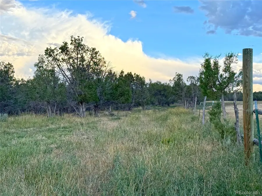 34706 Fruitland Mesa Road, Crawford, CO 81415 - #2