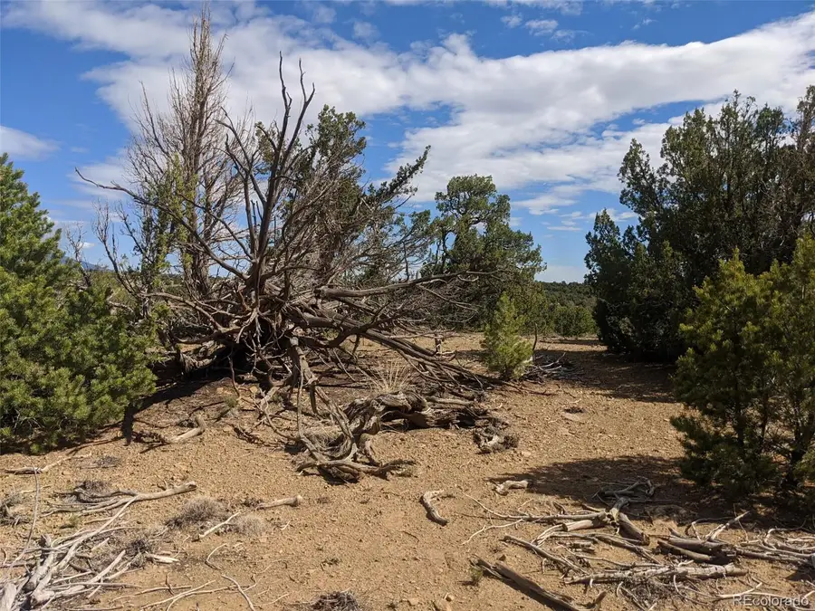 623 Cello Azui Drive, Walsenburg, CO 81089 - Image #2