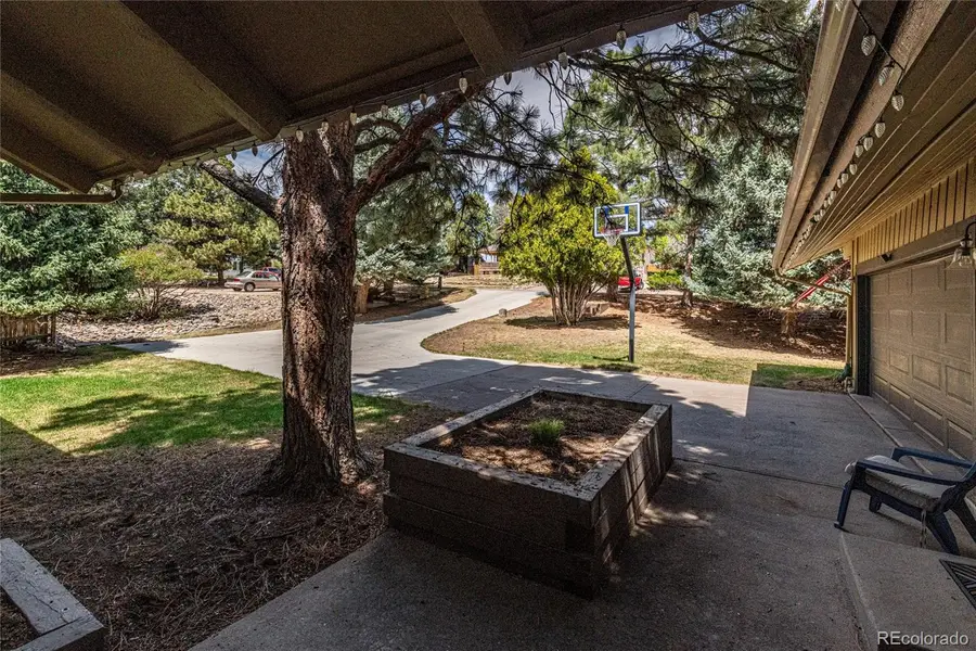 8250 Carriage Lane, Parker, CO 80134 - #3