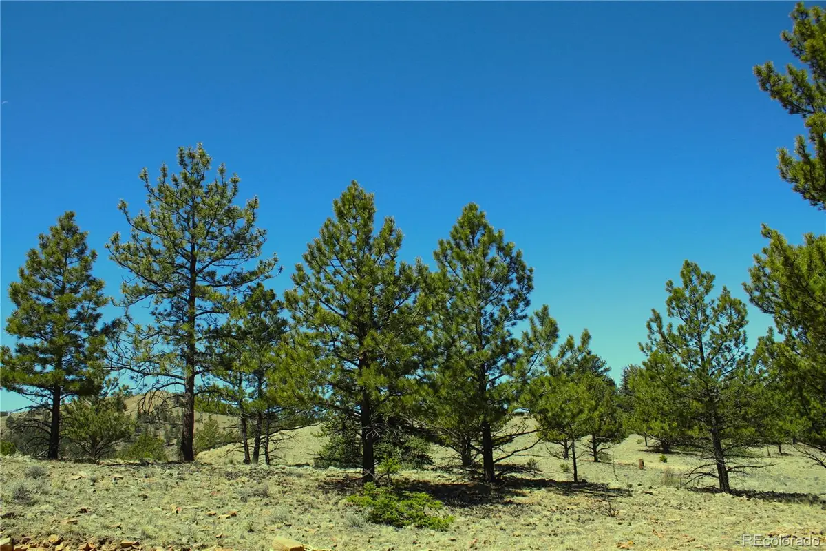 12451 Us-24, Hartsel, CO 80449 - #1