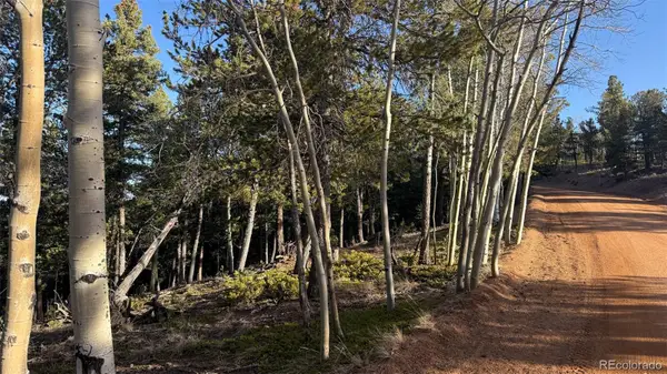 461 Paradiso Road, Divide, CO 80814