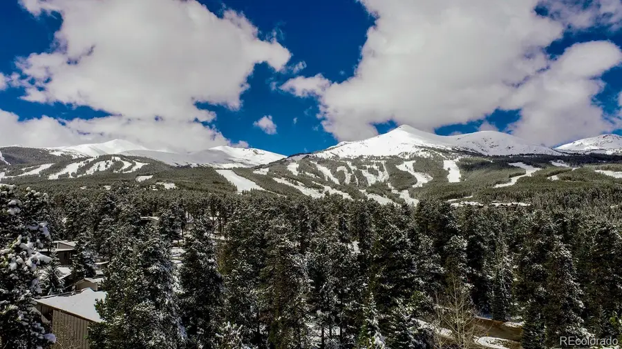 1075 Ski Hill Road #46, Breckenridge, CO 80424 - #3
