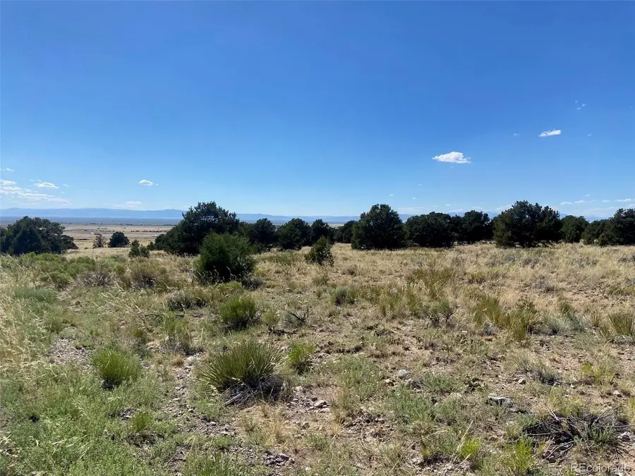 3233 Camino Del Rey, Crestone, CO 81131 - #3