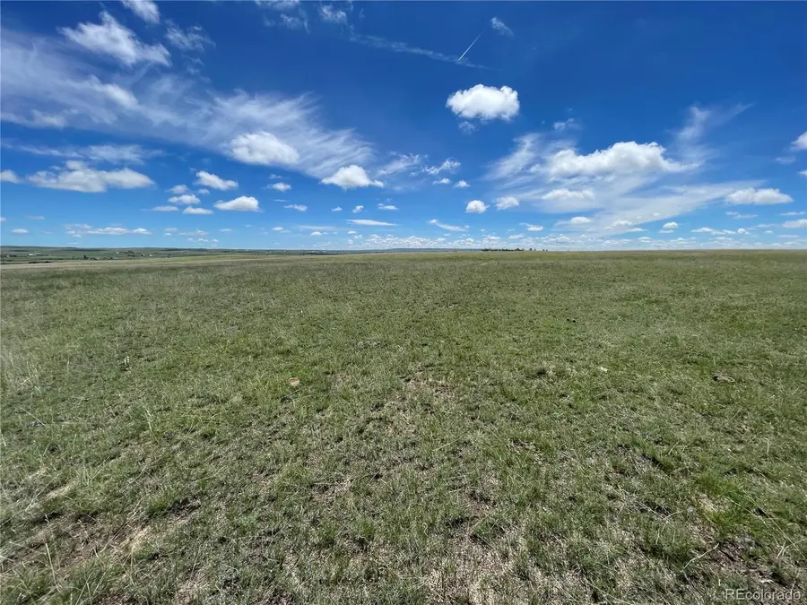 Lot 3 Peyton Highway, Peyton, CO 80831 - #3