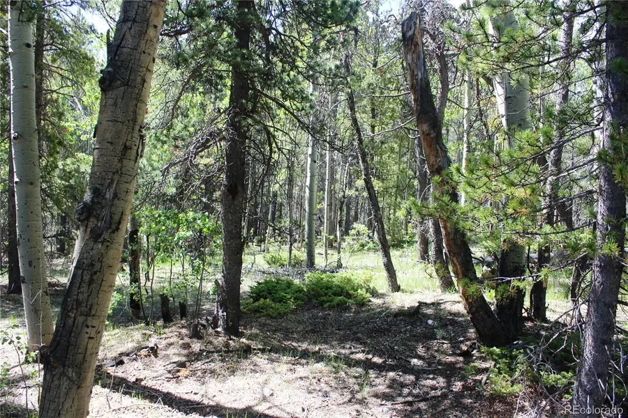 6050 Virginia Canyon Road, Central City, CO 80427 - #3