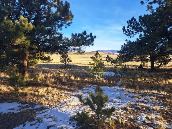 186 Boulder Road, Hartsel, CO 80449
