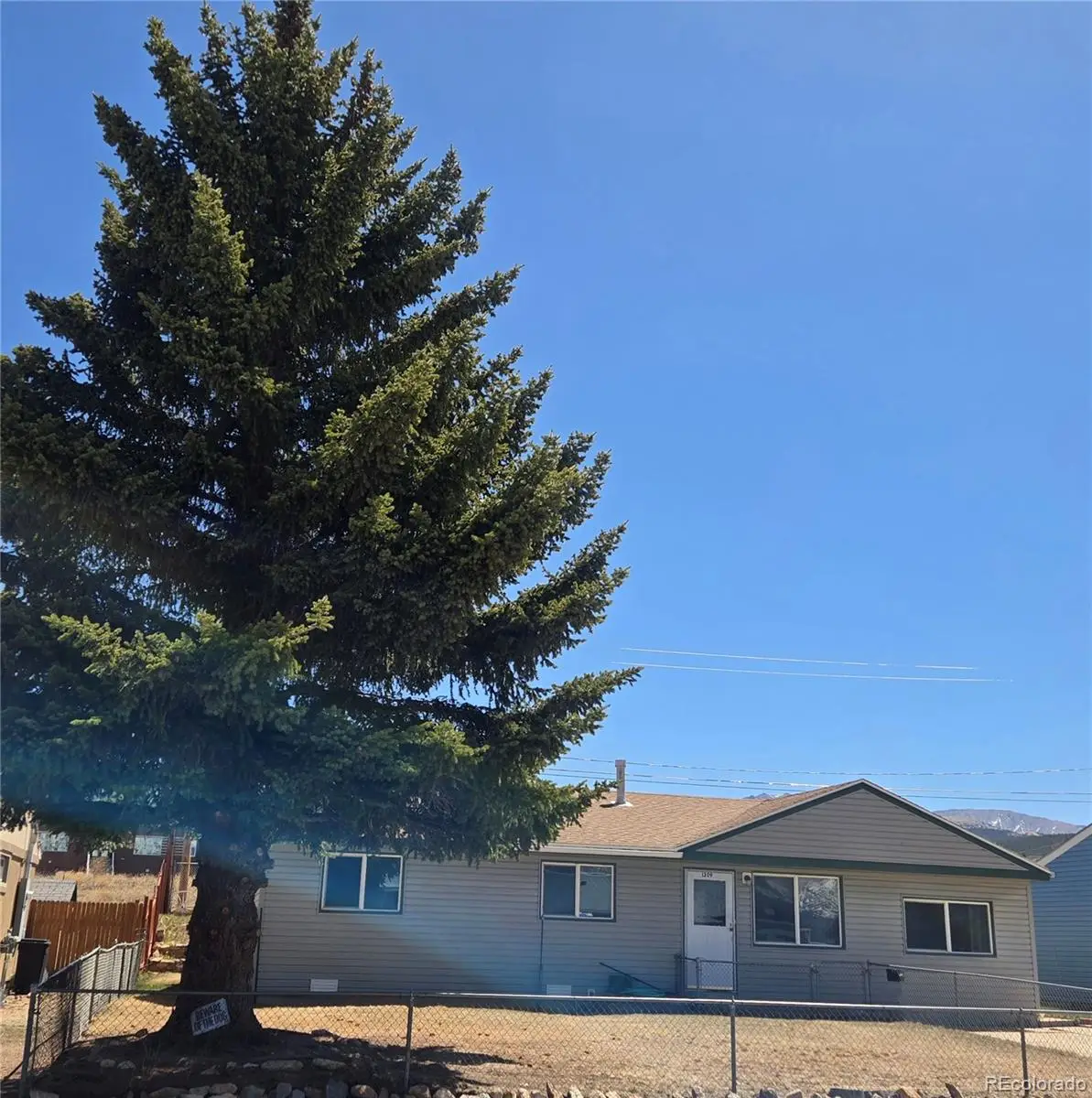 1309 Mount Elbert Drive, Leadville, CO 80461 - #1