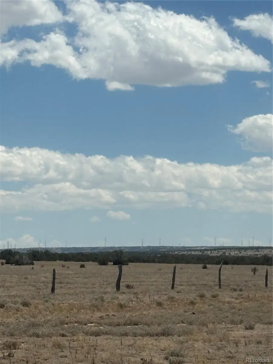 222 & 224 Turkey Ridge Ranch, Walsenburg, CO 81089 - #3