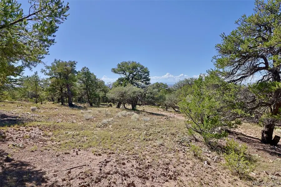 1731 Willow Creek, Crestone, CO 81131 - #3