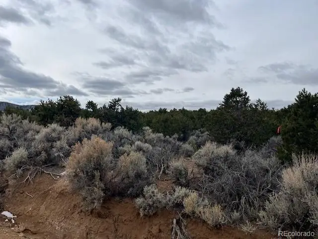 Lot 1865 Wilkings Road, Fort Garland, CO 81133 - #2