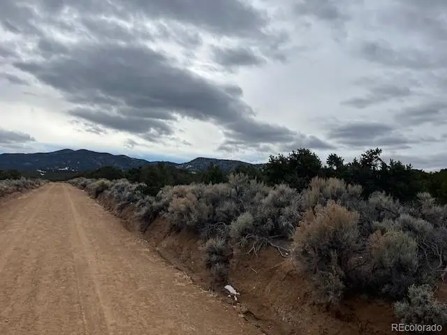 Lot 1865 Wilkings Road, Fort Garland, CO 81133 - #3