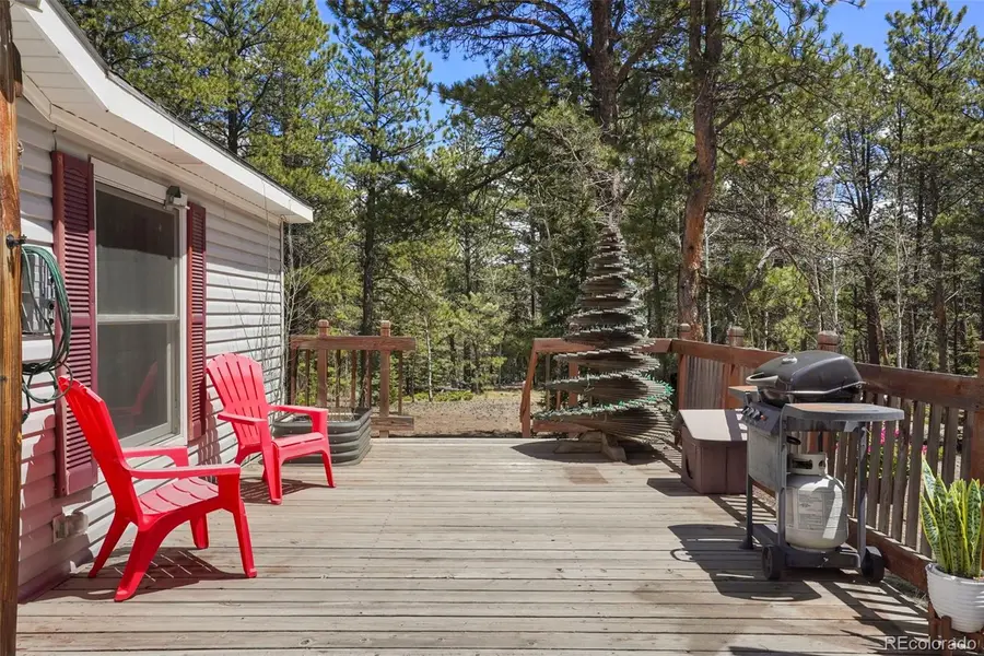 2450 Pathfinder Road, Florissant, CO 80816 - #2