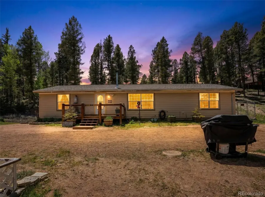 44 Silver Trail, Florissant, CO 80816 - #3