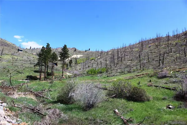 0 County Rd 89, Boulder, CO 80020