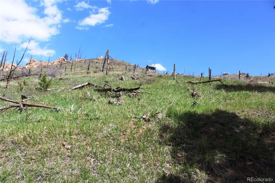 0 County Rd 89, Bald Mountain, CO 80020 - #3