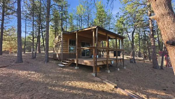 163 Ouray Road, Florissant, CO 80816