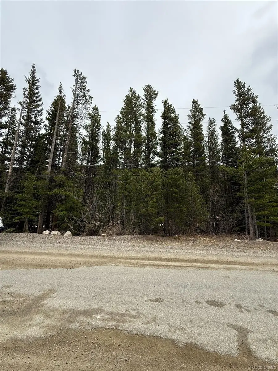 111 Silver Creek Road, Idaho Springs, CO 80452 - #3