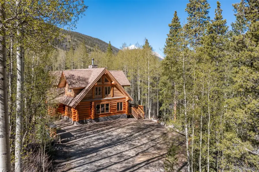 24500 County Road 162, Nathrop, CO 81236 - #2
