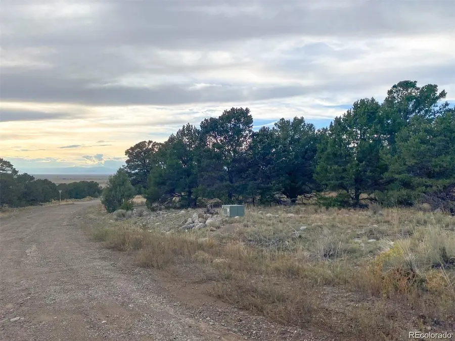 3872 Jubilant Terrace, Crestone, CO 81131 - #2