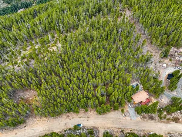 123 Silver Creek Road, Idaho Springs, CO 80452