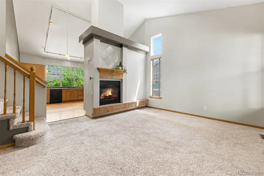 9836 Hooker Court, Westminster, CO 80031 - #3