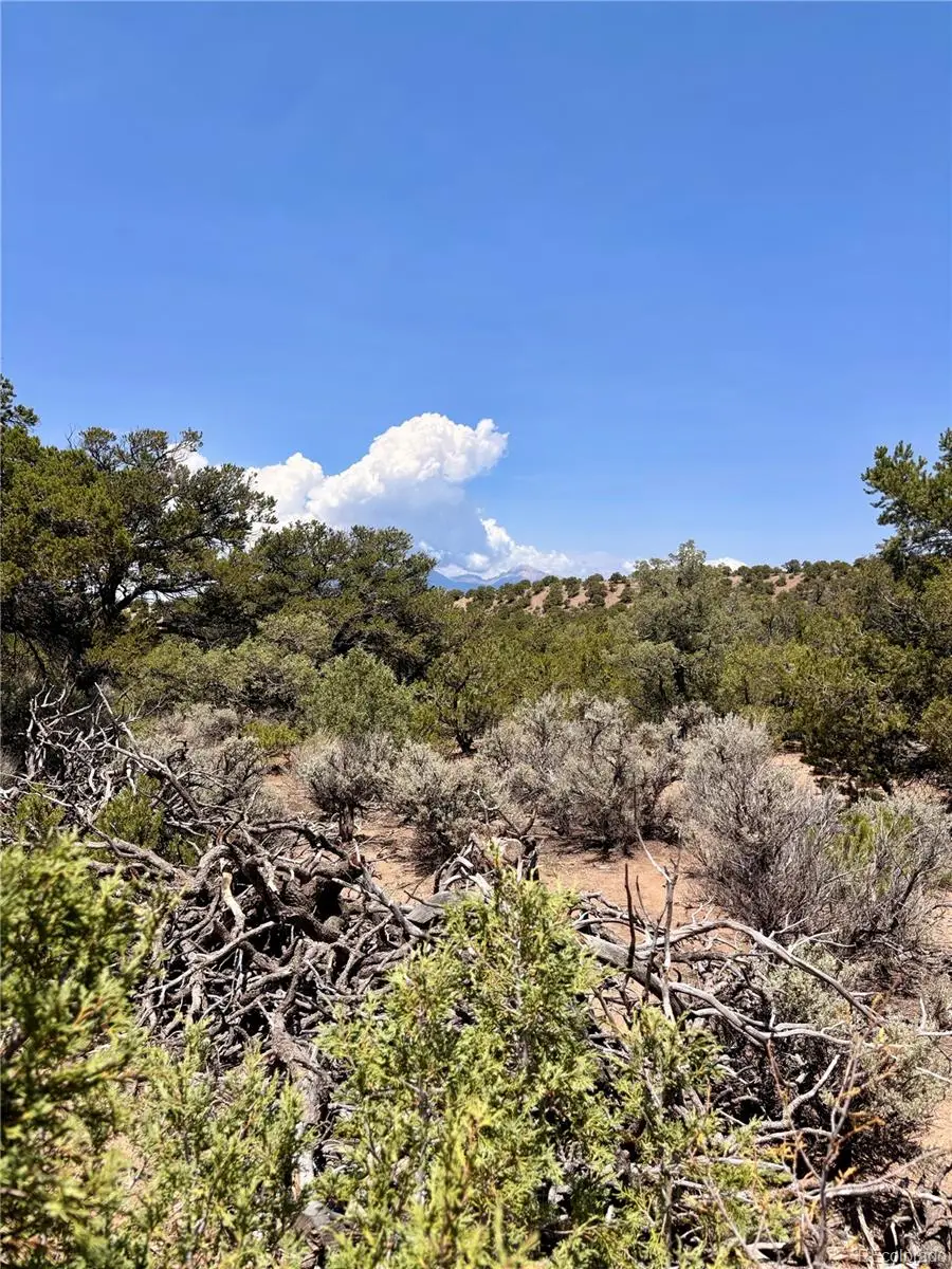 1134 Jorgulesco Road, Fort Garland, CO 81133 - #3