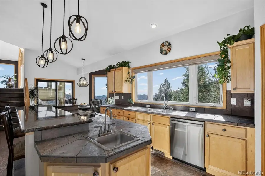 1255 Hy Vu Drive, Evergreen, CO 80439 - #2