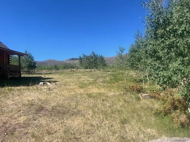 906 Huntington Lane, Fort Garland, CO 81133 - #3