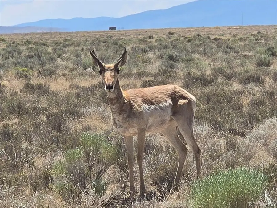 Lot 20 Gallup Trail, San Luis, CO 81152 - #3