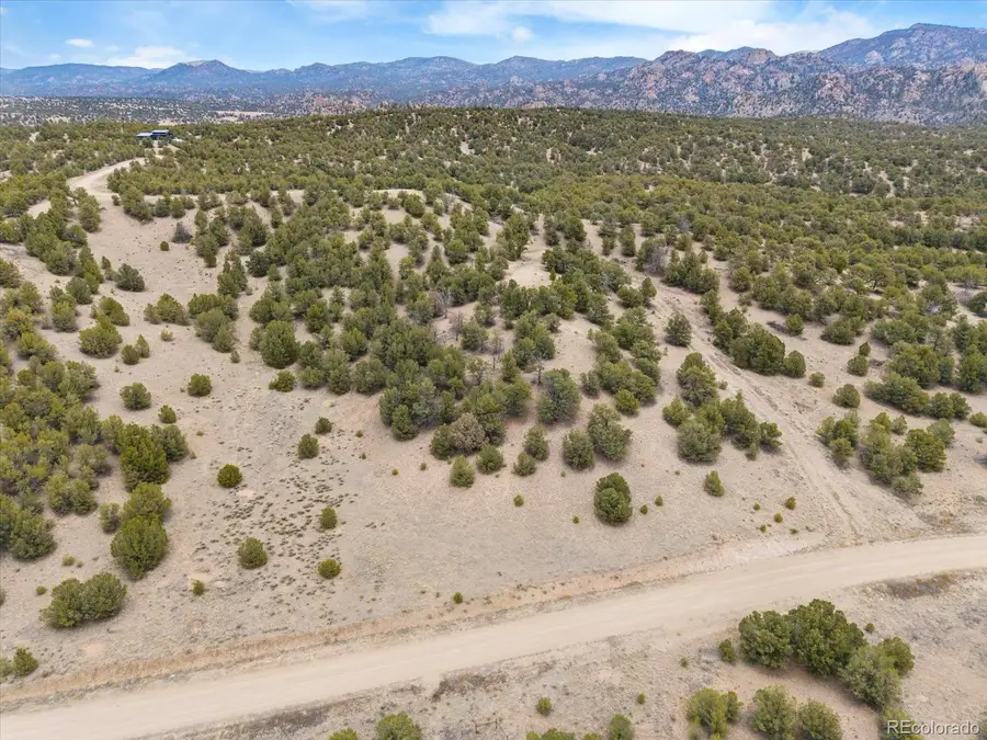 10292 Pioneer Trace, Nathrop, CO 81236 - #3