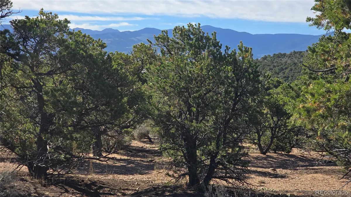 Lot 3873 Shinn Road, Fort Garland, CO 81133 - #1