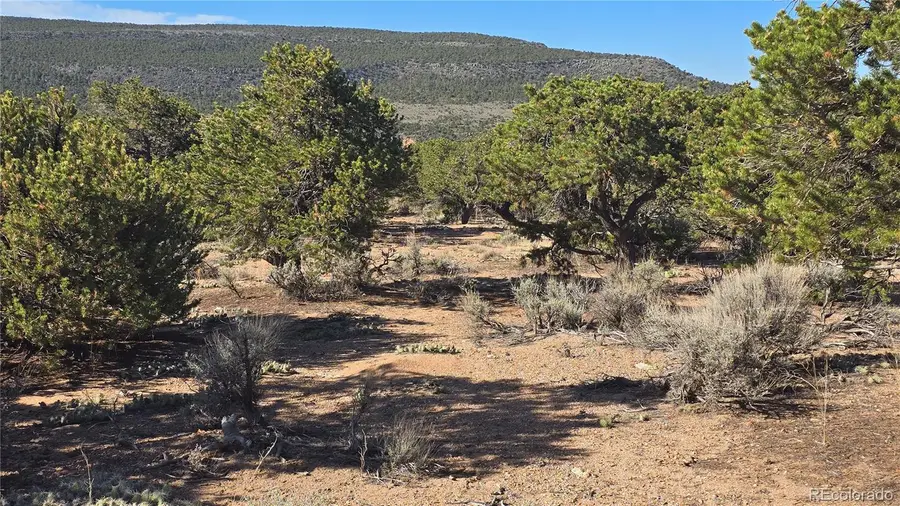 Lot 3873 Shinn Road, Fort Garland, CO 81133 - #2