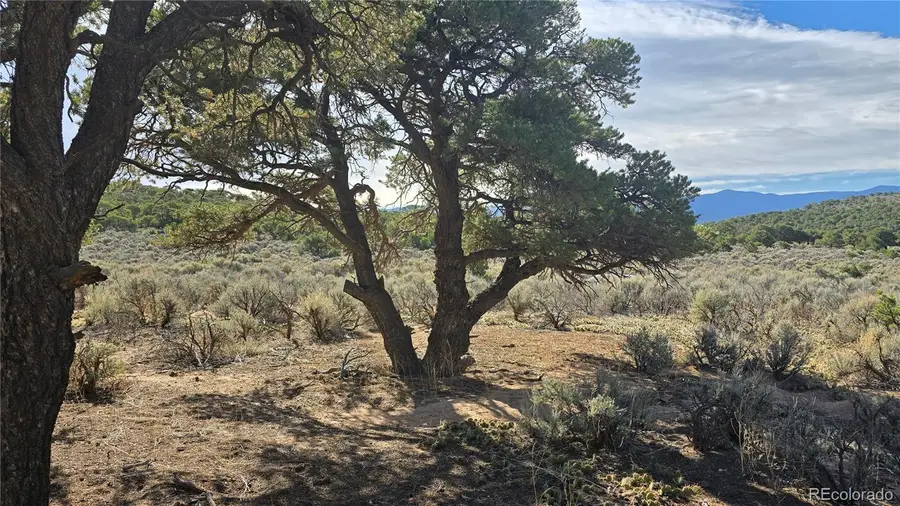 Lot 3873 Shinn Road, Fort Garland, CO 81133 - #3