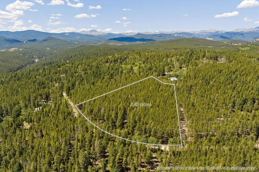 0 Spruce, Nederland, CO 80466 - #3